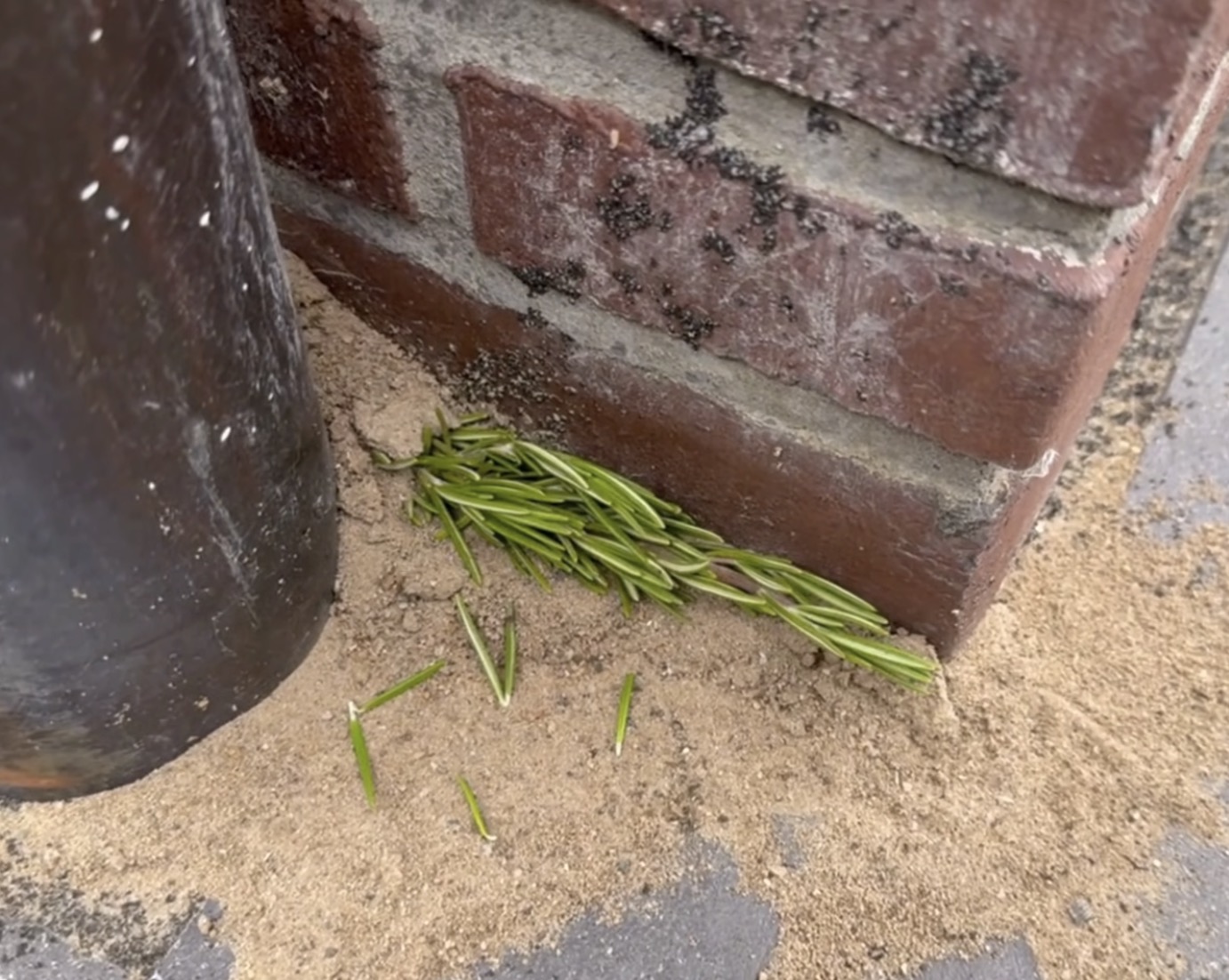 safe_image 170