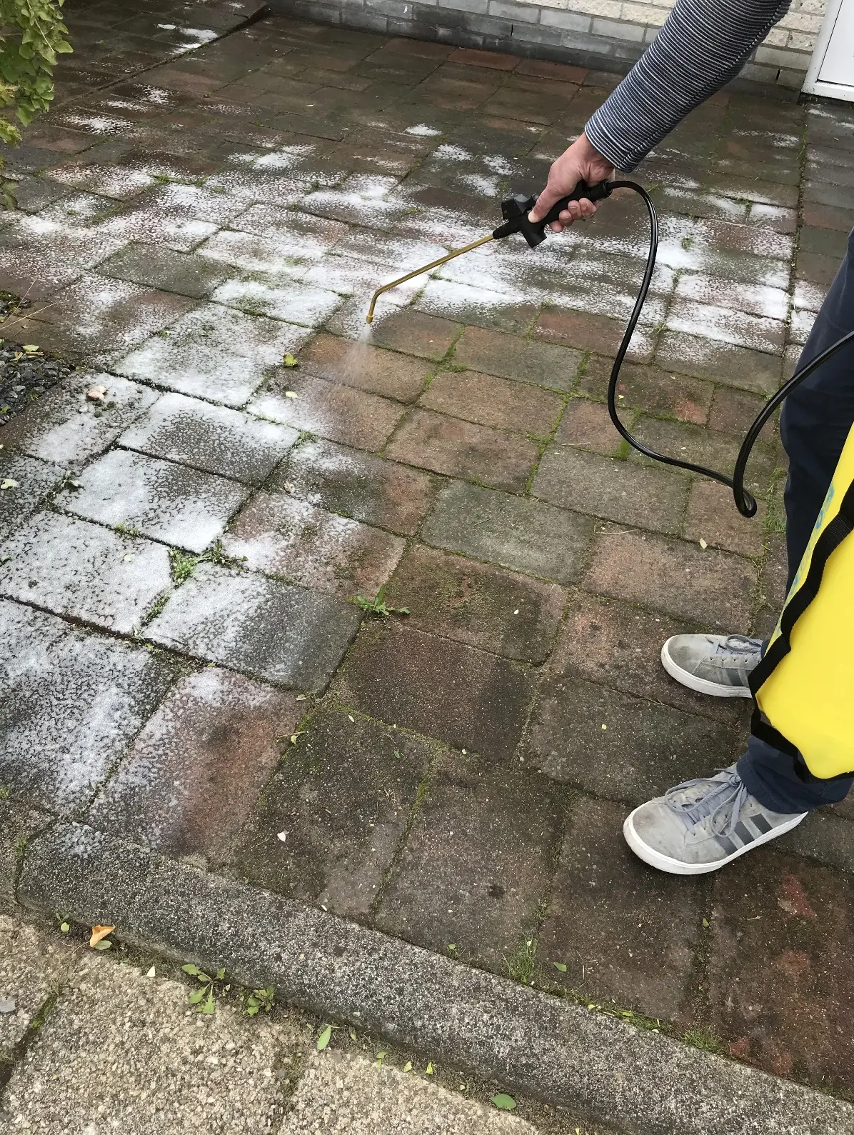 onkruidbestrijding